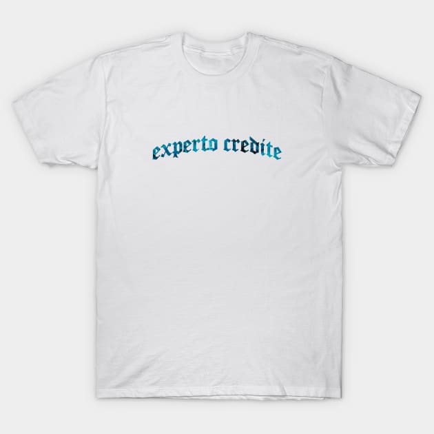 Experto Credite - Trust One With Experience T-Shirt by overweared